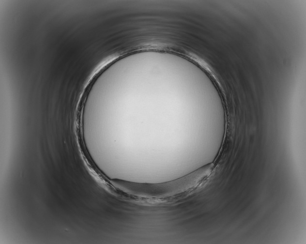 X0000083531042200703091508