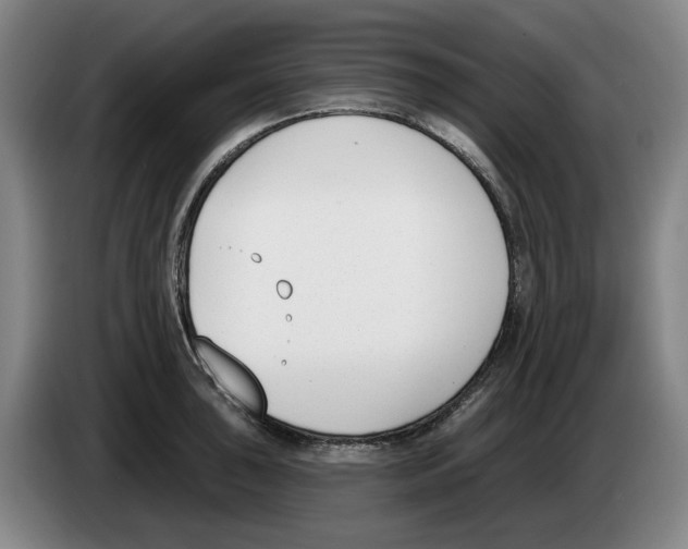 X0000083531043200703091508