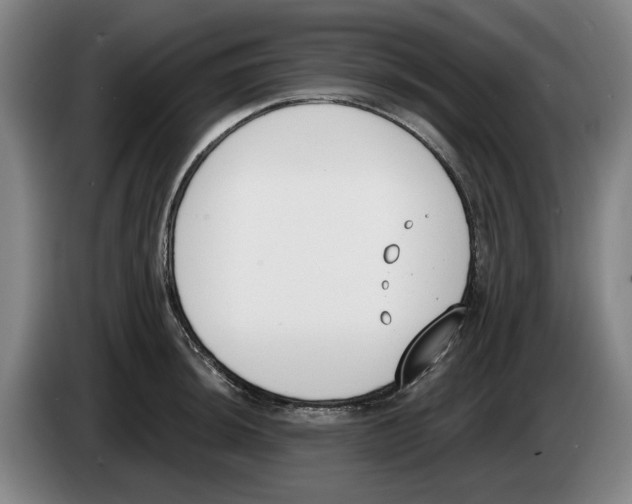 X0000083531044200703091508