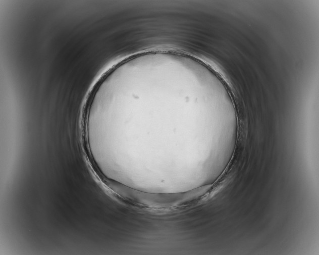 X0000083531046200703091508