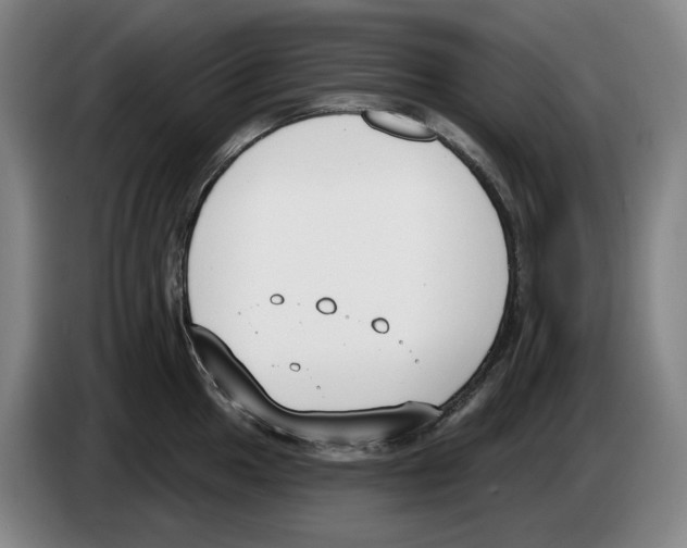 X0000083531049200703091508