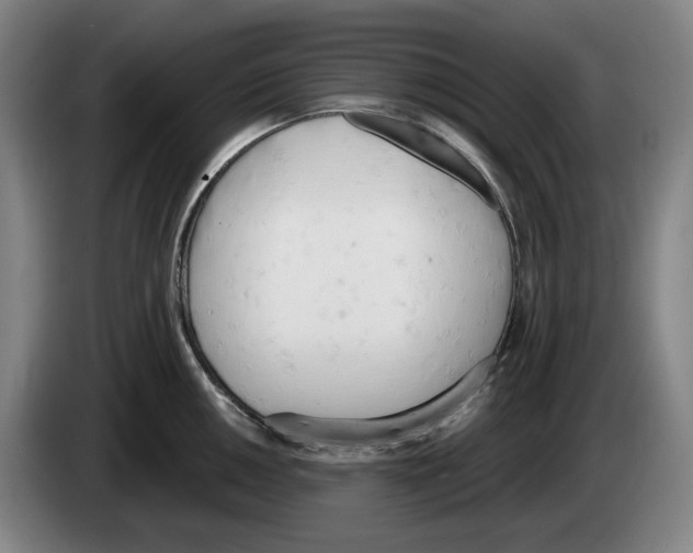 X0000083531050200703091508