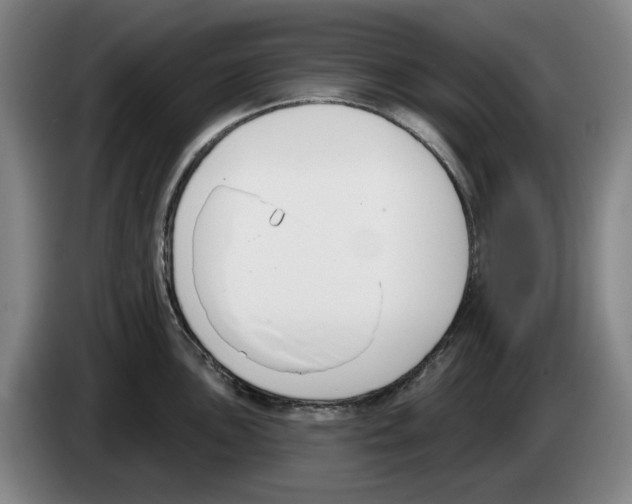 X0000083531051200703091508