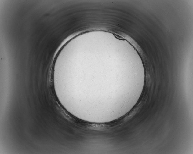 X0000083531052200703091508