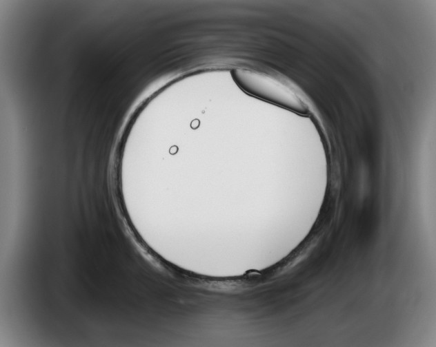 X0000083531053200703091508