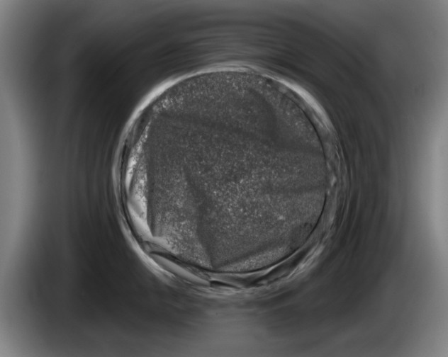 X0000083531054200703091508