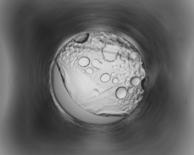 X0000083531055200703091508