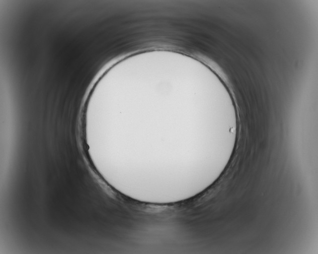 X0000083531056200703091508