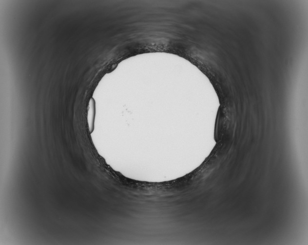 X0000083531057200703091507