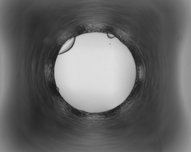 X0000083531059200703091507