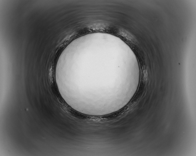 X0000083531060200703091507