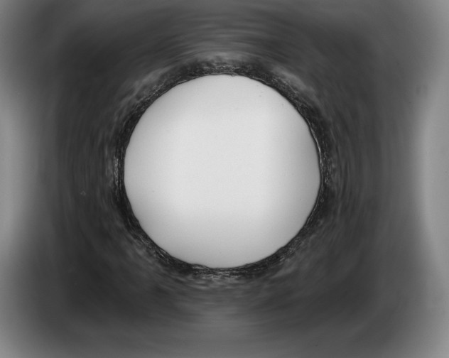 X0000083531061200703091507