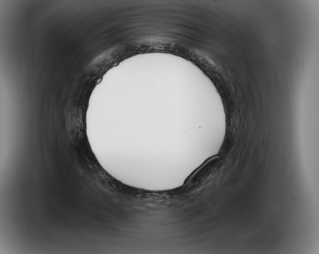 X0000083531062200703091507