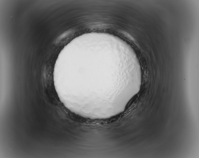 X0000083531063200703091507