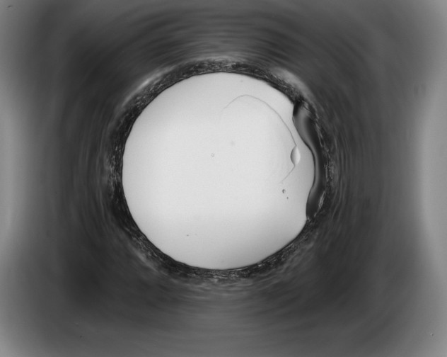 X0000083531064200703091507