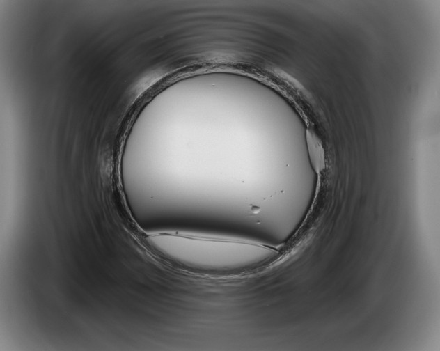 X0000083531065200703091507