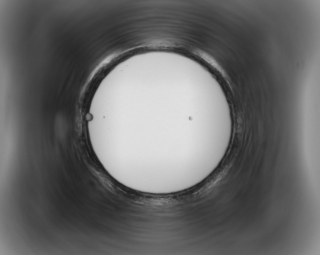 X0000083531067200703091507