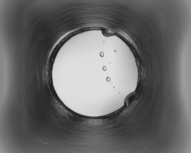 X0000083531068200703091507