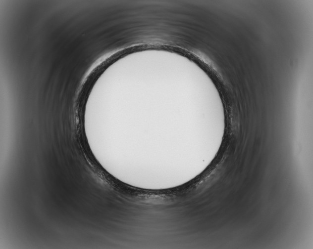 X0000083531070200703091507