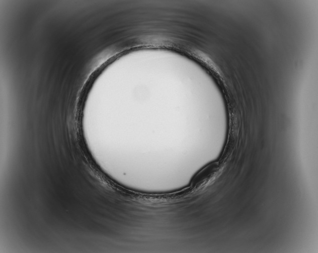 X0000083531071200703091507