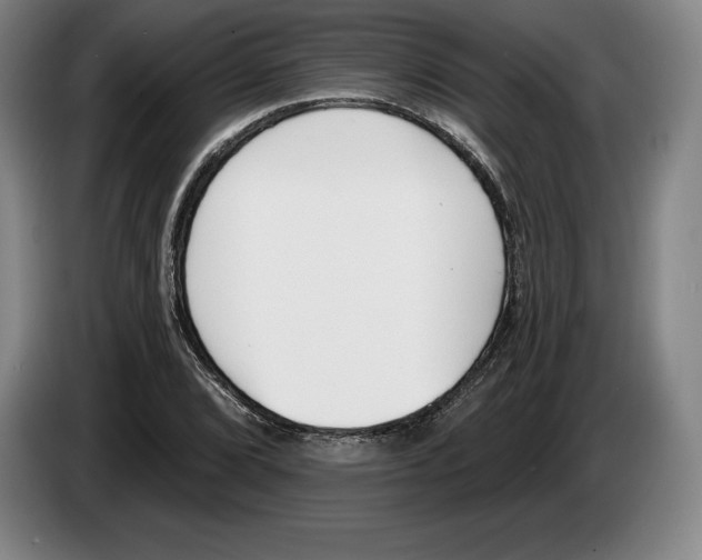 X0000083531072200703091507