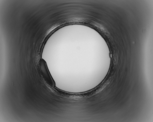 X0000083531073200703091507