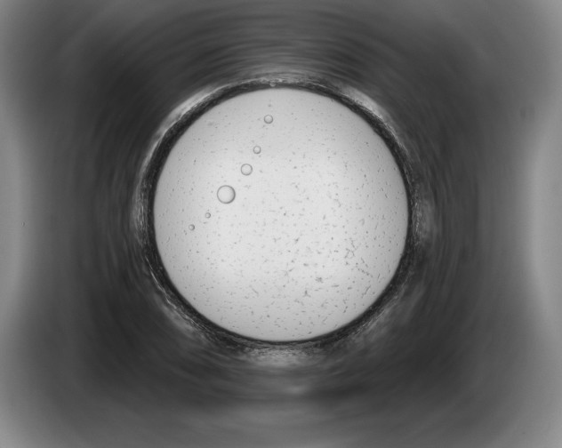 X0000083531074200703091507