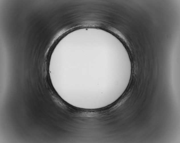 X0000083531075200703091507