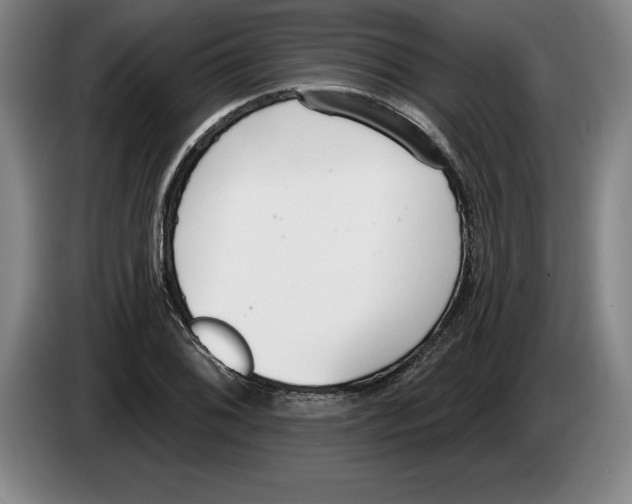 X0000083531076200703091507