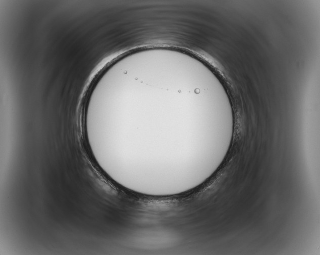 X0000083531078200703091507