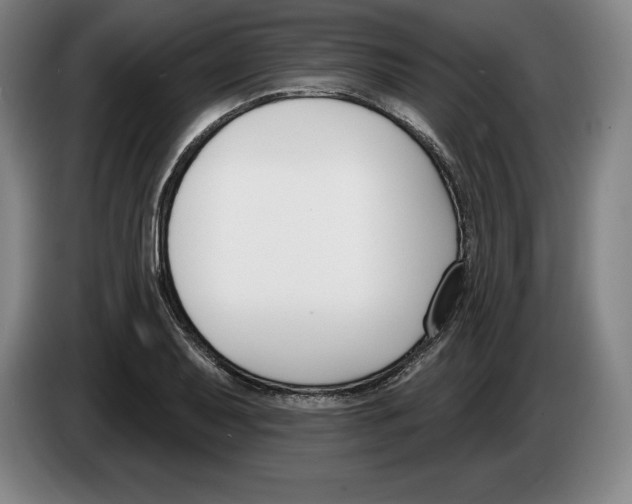 X0000083531079200703091507