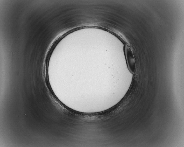 X0000083531080200703091507