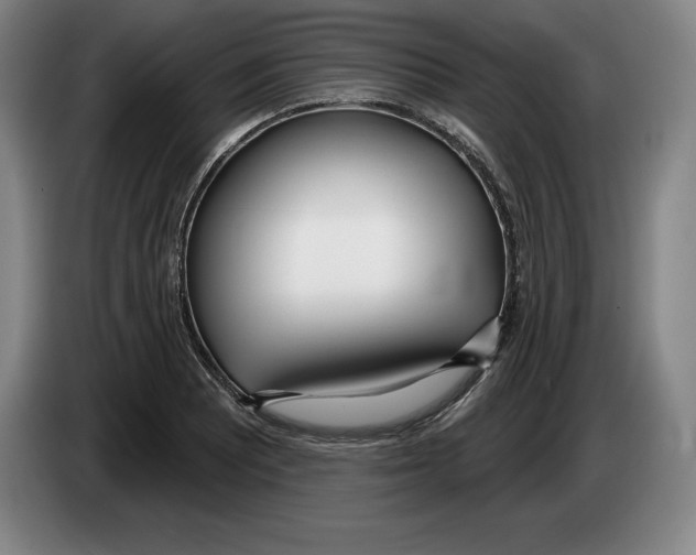 X0000083531081200703091507