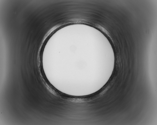 X0000083531082200703091507