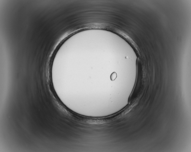 X0000083531083200703091507