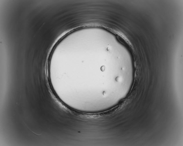 X0000083531084200703091507