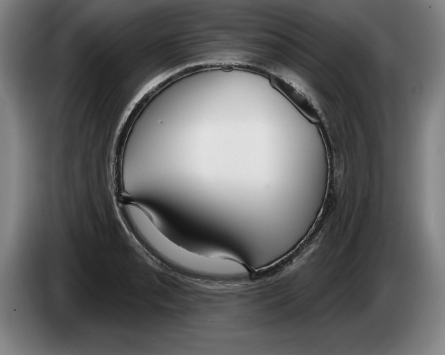 X0000083531085200703091507