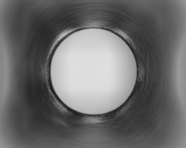 X0000083531086200703091507