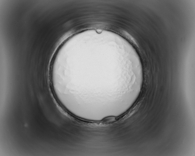 X0000083531087200703091507