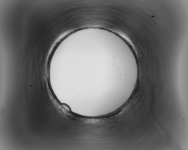 X0000083531088200703091507