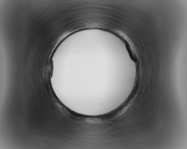 X0000083531089200703091507