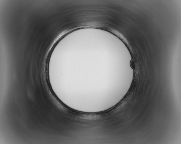 X0000083531091200703091507