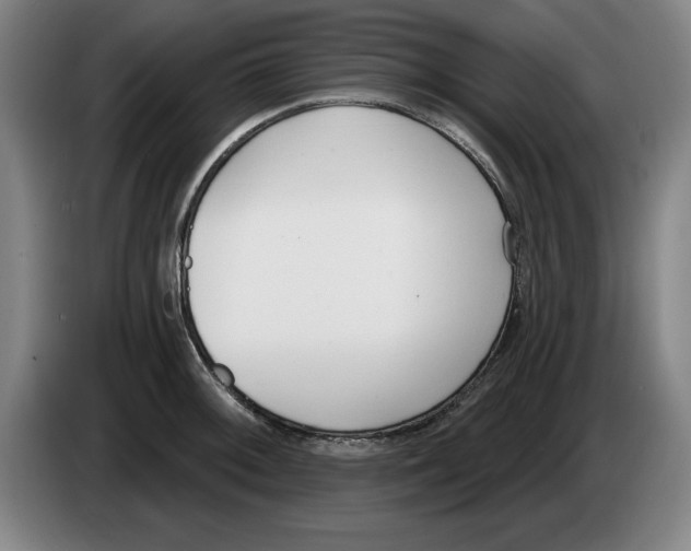 X0000083531092200703091507