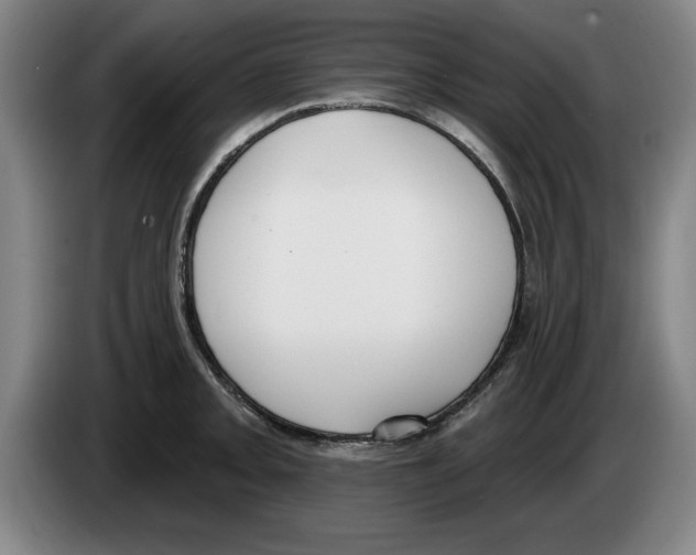 X0000083531093200703091507