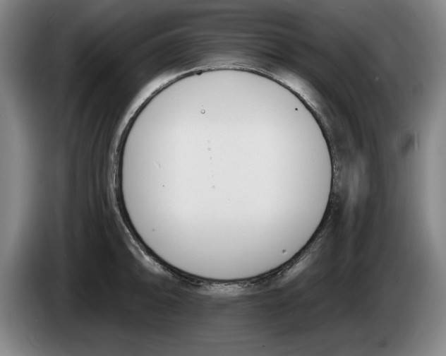 X0000083531094200703091507