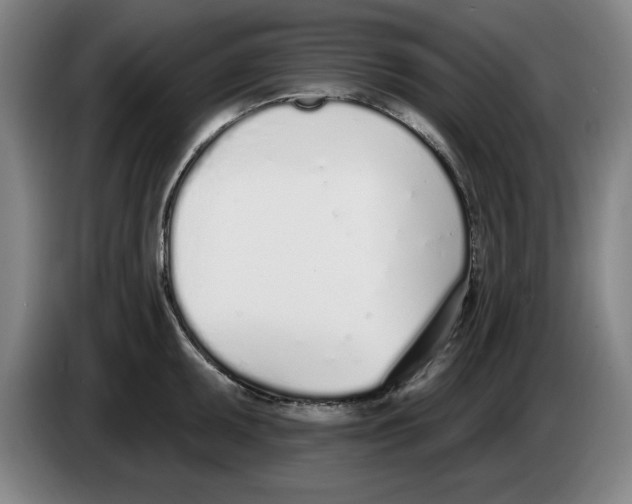 X0000083531095200703091507