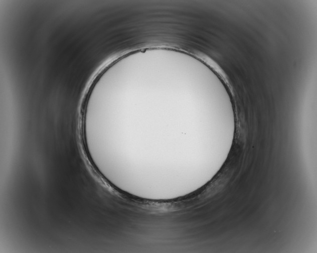 X0000083531096200703091507