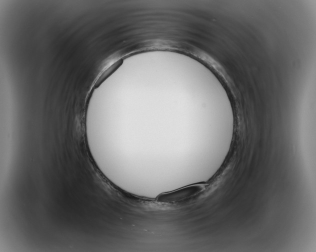 X0000083531097200703091507