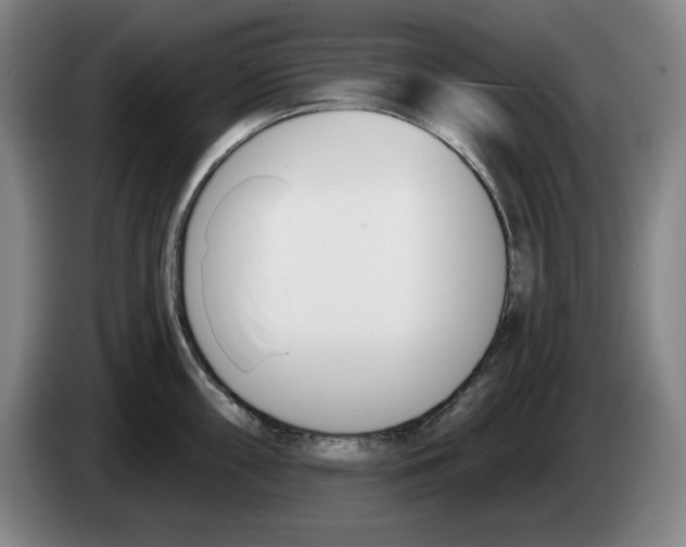 X0000083531098200703091507