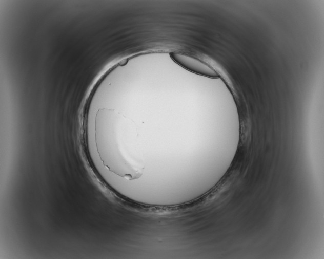 X0000083531099200703091507